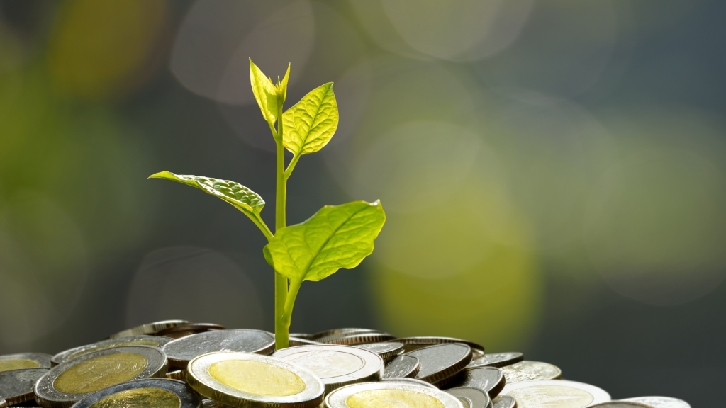 10 creator income streams you should consider